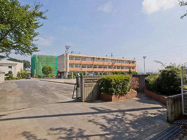 Image 4