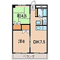 メゾン信夫ケ丘4階4.0万円