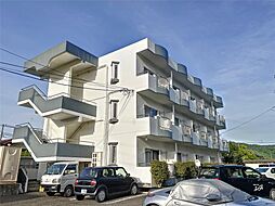 エッセンシャル岡部 101