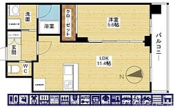 プレジオ塚本ASIAN 2階/-