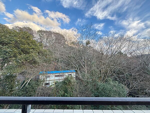 リビング窓からは緑の眺め