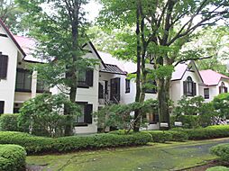 東急箱根仙石原リゾートヴィラC