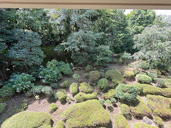 お部屋の窓からの眺め