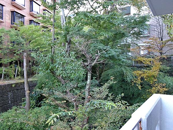 バルコニー右手
