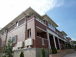 ノース　プリムラ