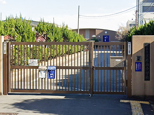 美原西中学校徒歩19分