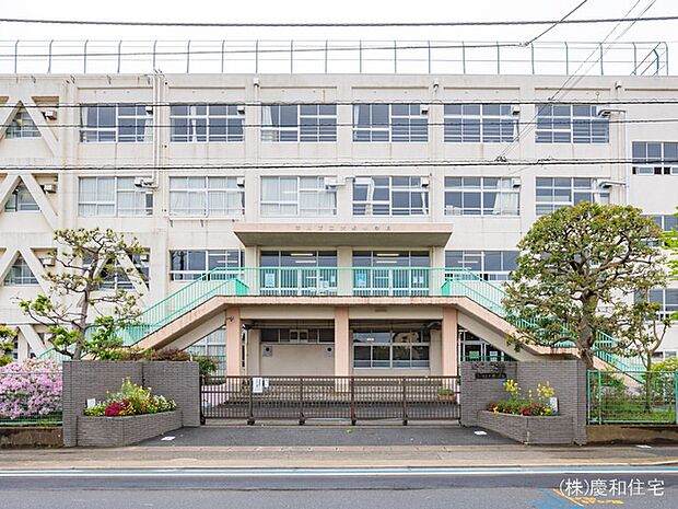 市川市立大野小学校（900m）