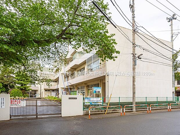 市川市立大柏小学校(1280m)