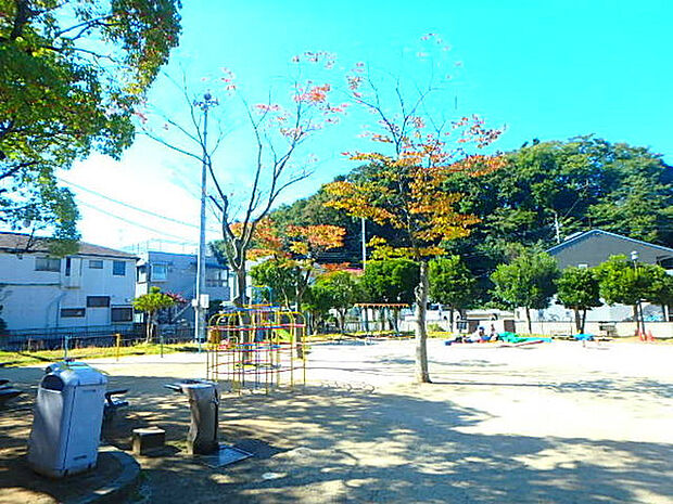 みかど公園（250m）