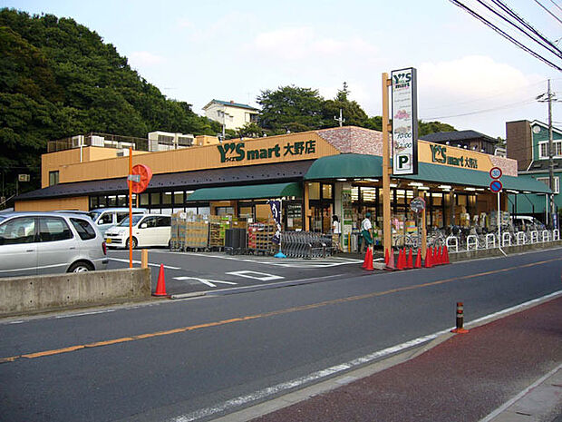 ワイズマートワイズディスカ大野店（1100m）