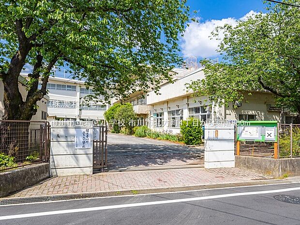 市川市立若宮小学校（850m）
