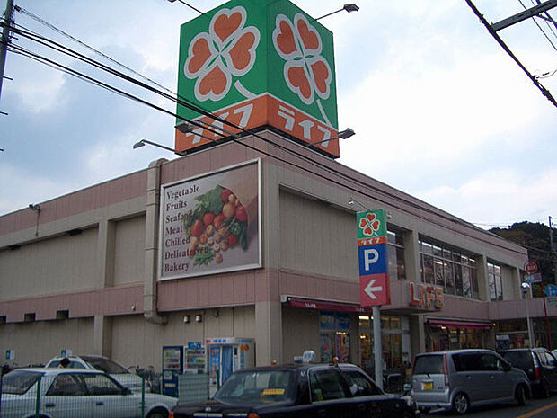 ライフ市川国分店(750m)