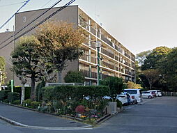 コープ野村夏見