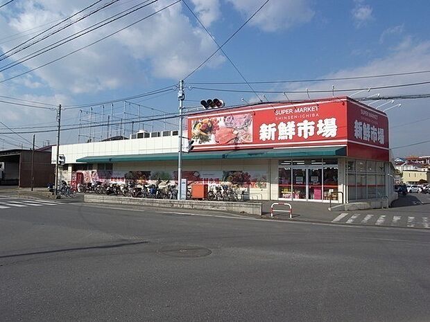 新鮮市場　船橋馬込沢店（600m）