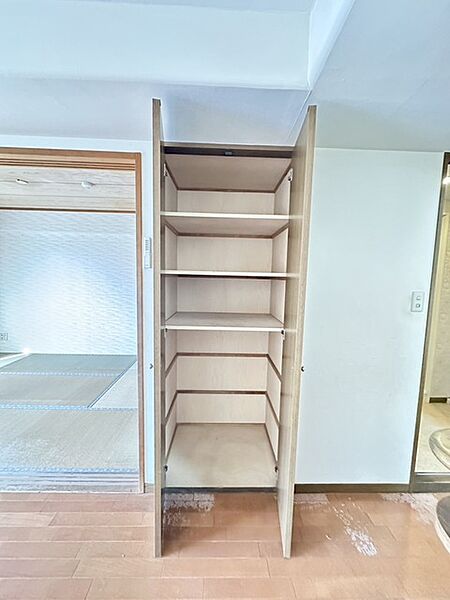 リビングに設けられた収納はしっかりとした大きさがあるので使い勝手がとても良さそうですね！