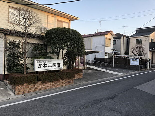 かねこ医院(528m)