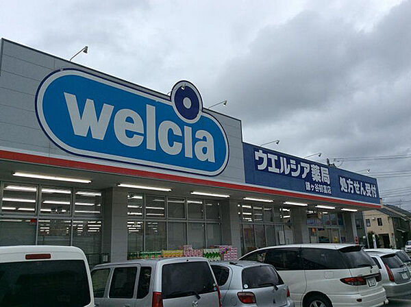 ウエルシア鎌ケ谷初富店（532m）