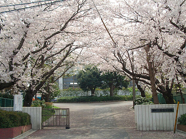 船橋中学校(552m)