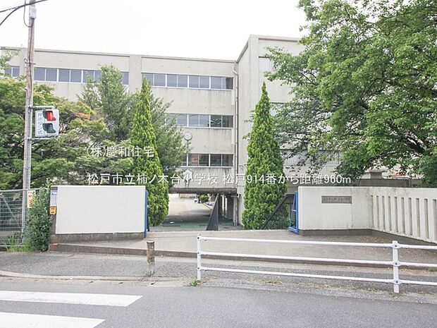 松戸市立柿ノ木台小学校(960m)