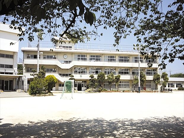 若宮小学校(735m)