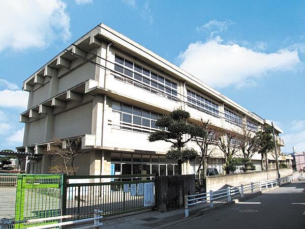 矢切小学校（883m）