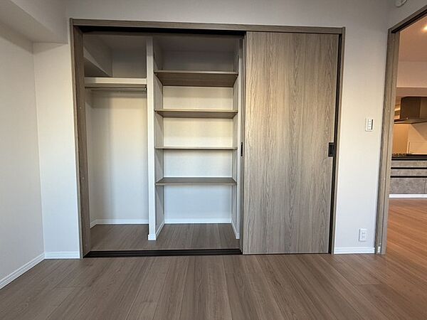 大型のクローゼットです！ これだけの収納力があれば部屋もスッキリ保てますよ！