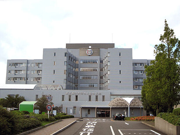 東京歯科大学市川総合病院（308m）