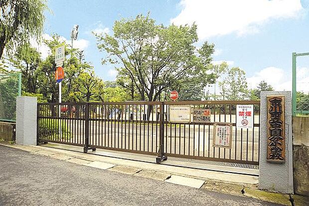 中国分小学校(731m)