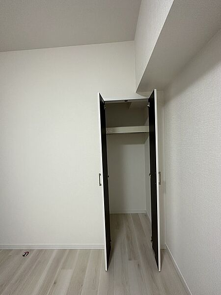 クローゼットも内にはハンガーパイプも設置されています！ そのまま洋服を掛けられるので、洋服ダンスも必要なさそうですね！
