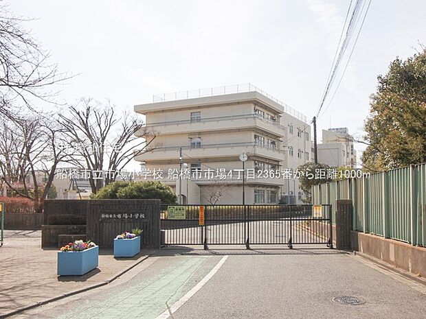 船橋市立市場小学校(1000m)