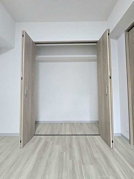 大型のクローゼットです！ これだけの収納力があれば部屋もスッキリ保てますよ！