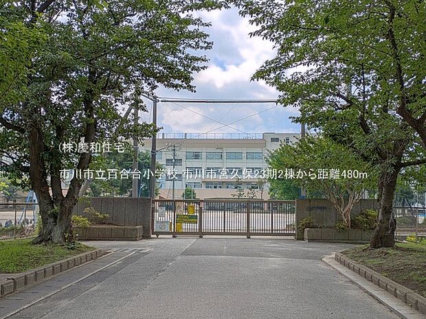 市川市立百合台小学校(480m)