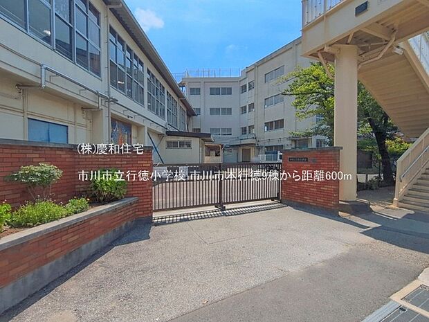 市川市立行徳小学校(600m)