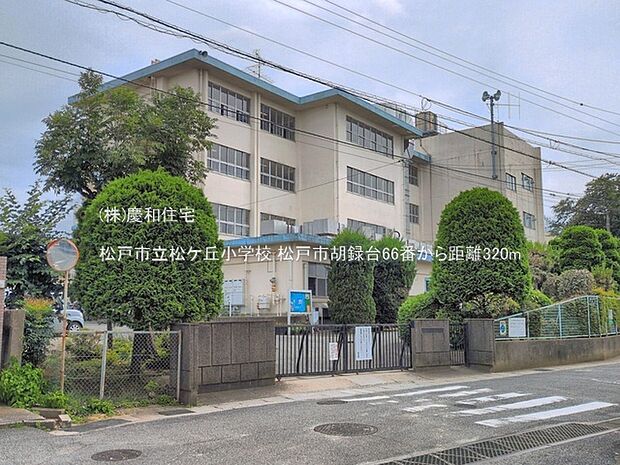 松戸市立松ケ丘小学校(320m)
