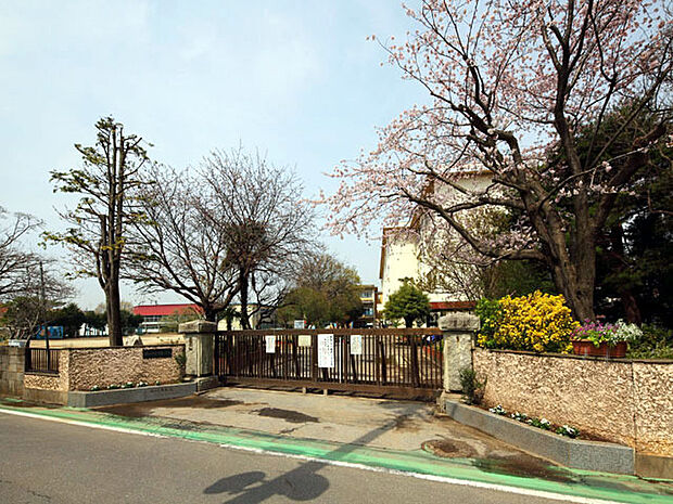 中部小学校(541m)