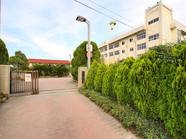 高谷中学校(904m)