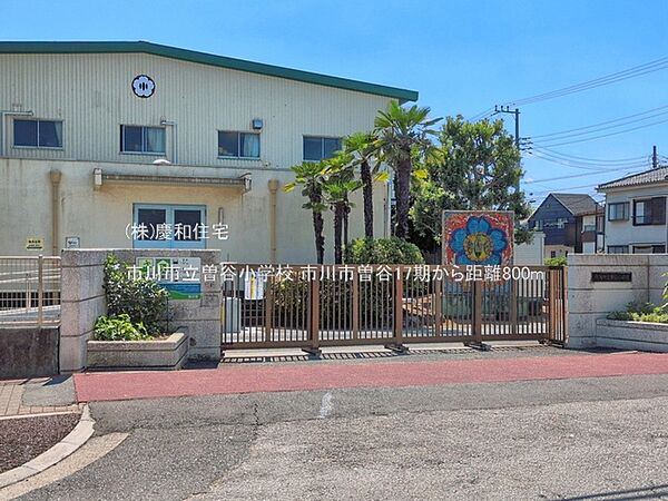 市川市立曽谷小学校（800m）