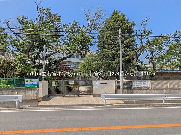 市川市立若宮小学校(310m)