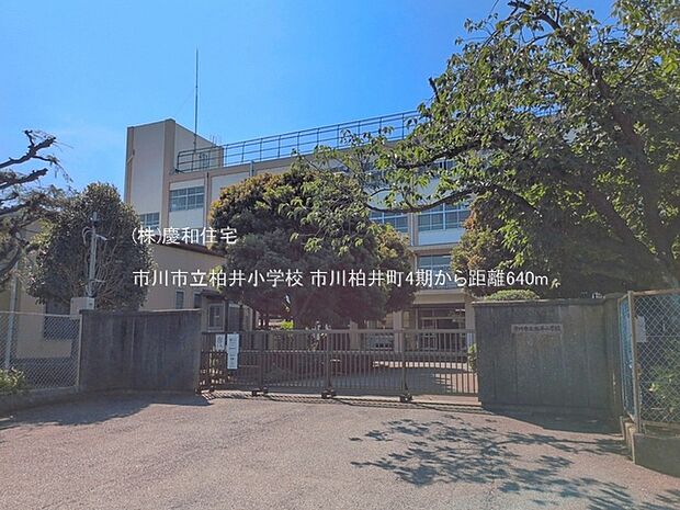 市川市立柏井小学校（640m）
