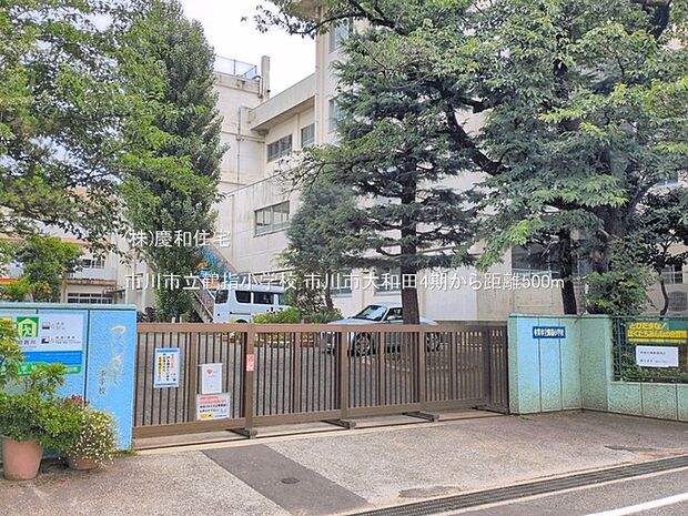 市川市立鶴指小学校(500m)