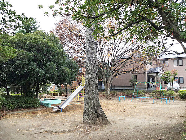一本松公園206ｍ
