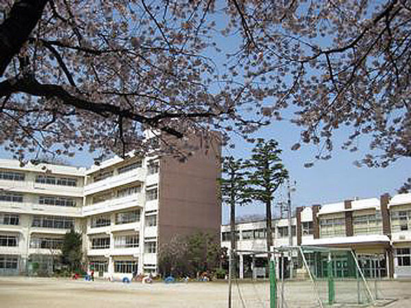 小金小学校806ｍ