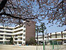 周辺：小金小学校806ｍ