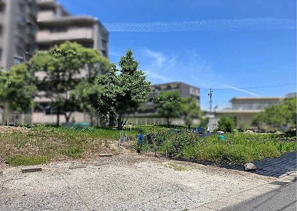 外観：323000498124