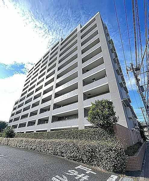 外観：313004677556