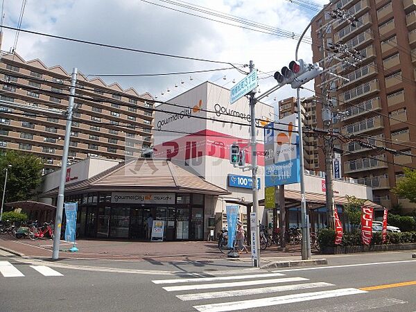 画像25:グルメシティ八尾店(スーパー)まで689m