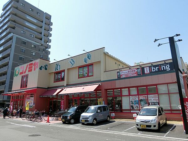 画像25:コノミヤ大蓮東店(スーパー)まで538m