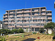 シャトーアルベール 4階 築31年11ヶ月の賃貸物件