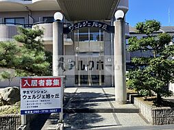 6 / 11