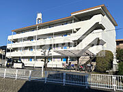 メゾン平野 2階 築49年5ヶ月の賃貸物件